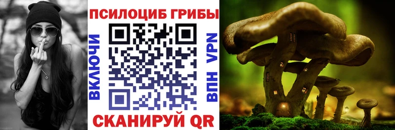 Галлюциногенные грибы мицелий  Купить  Старая Купавна 